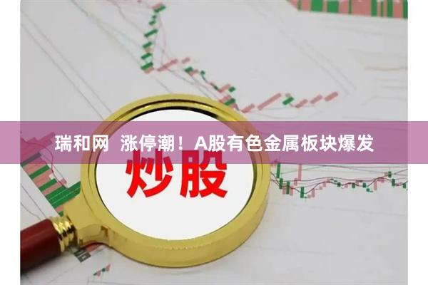 瑞和网  涨停潮！A股有色金属板块爆发