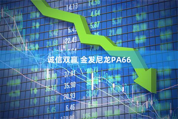 诚信双赢 金发尼龙PA66