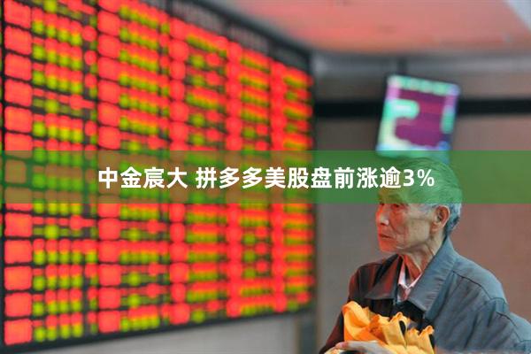 中金宸大 拼多多美股盘前涨逾3%