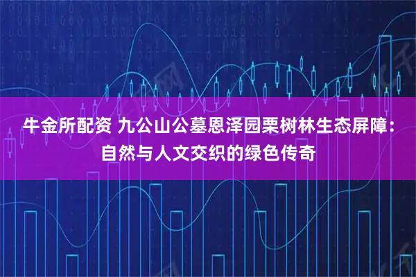 牛金所配资 九公山公墓恩泽园栗树林生态屏障：自然与人文交织的绿色传奇
