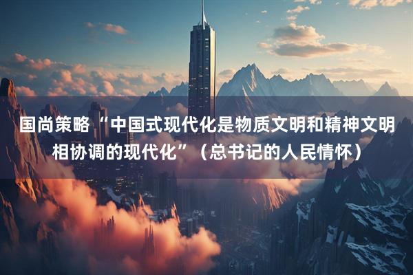 国尚策略 “中国式现代化是物质文明和精神文明相协调的现代化”（总书记的人民情怀）