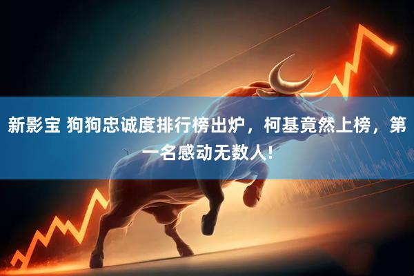 新影宝 狗狗忠诚度排行榜出炉，柯基竟然上榜，第一名感动无数人!